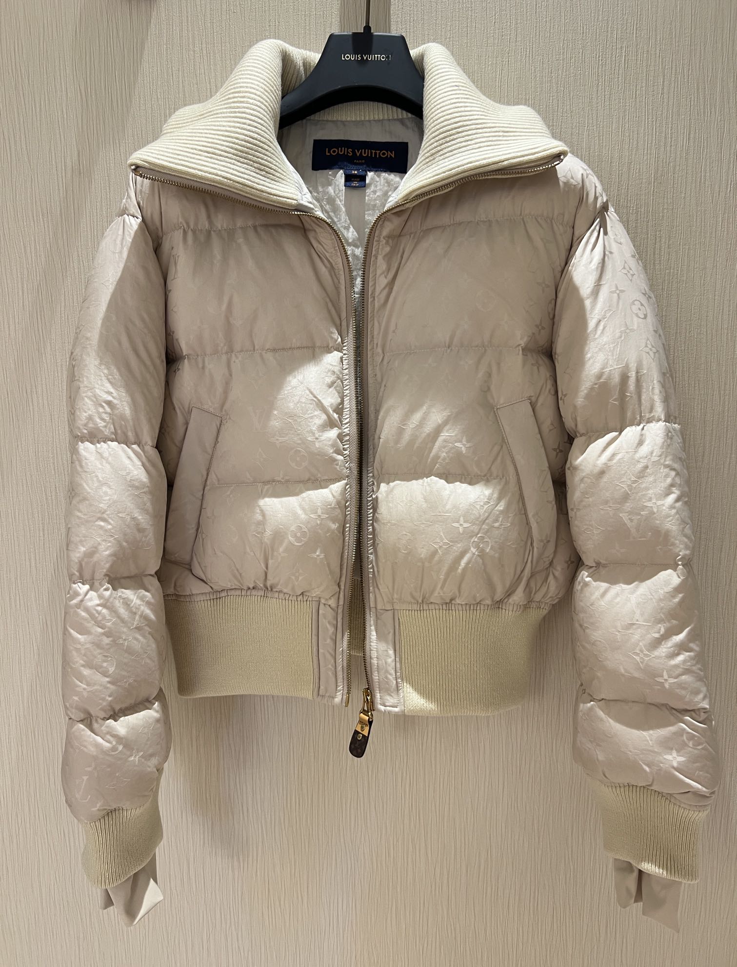 Louis Vuitton Down Jackets